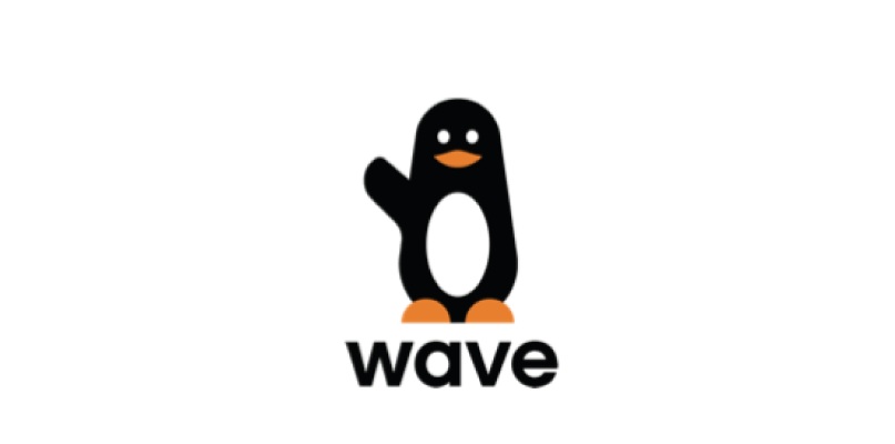 WAVE-Afrique-recrute-un-superviseur-01-avril-2025